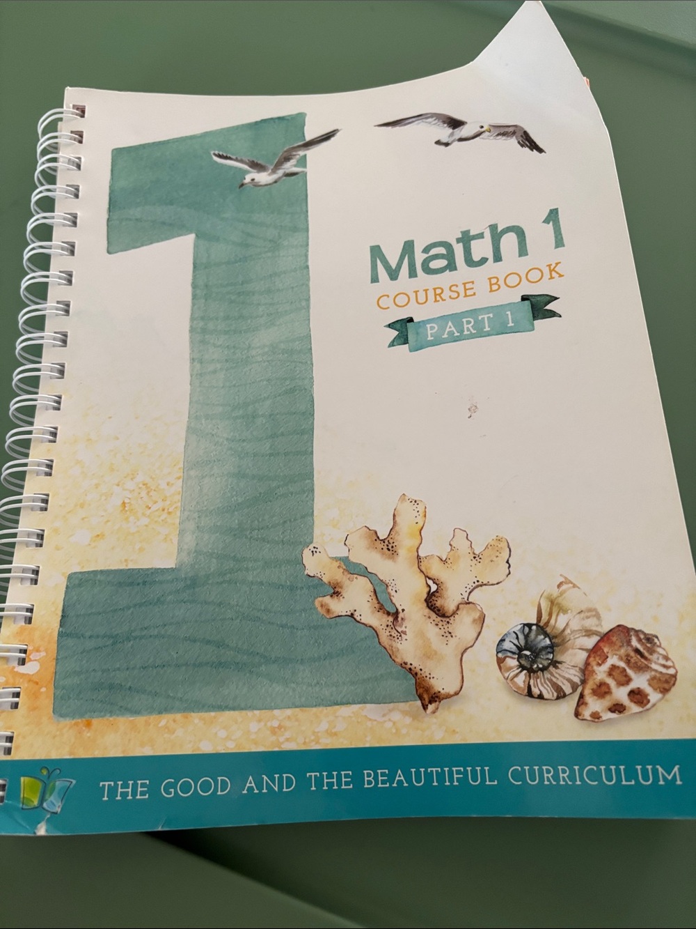 The Good and The Beautiful Math 1 Course Book Part 1 - Teal